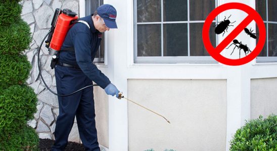 Örnekköy Dezenfeksiyon böcek ilaçlama ve haşere kontrolü — ilaclama-tr.com